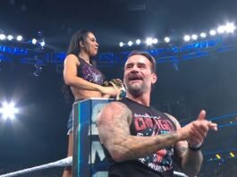 AJ Lee and CM Punk react to the crowd during AJ Lee's return appearance on WWE SmackDown.
