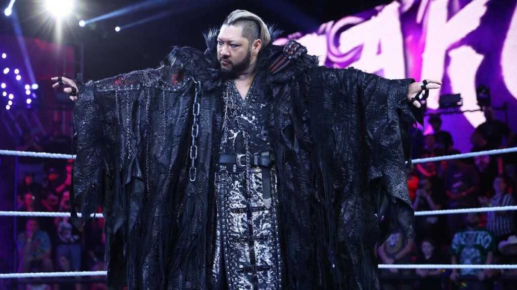 "king of darkness" evil makes imposing ring entrance - tjr wrestling Professional wrestler evil stands inside a wrestling ring with arms outstretched, wearing an elaborate tattered black coat adorned with chains, spike details, and blonde-streaked hair.