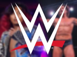 WWE logo displayed over blurred images of two wrestlers in the background